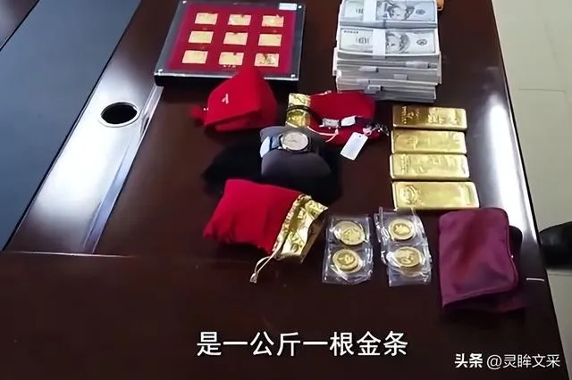 青海女行长“金融虎”王丽落马记：密室真相丈夫被惊呆，想离开！